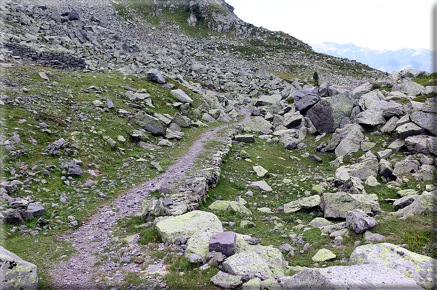 foto Forcella di Montalon